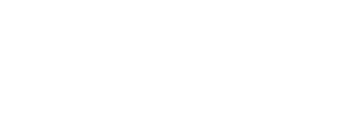 The VDC - Vegan Drink Company